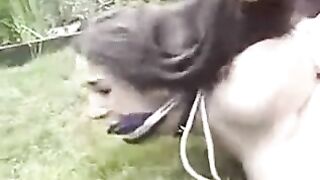 Pet Girl Training