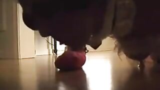 Pet Girl Training