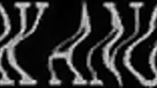 Wetlook women from Hungary