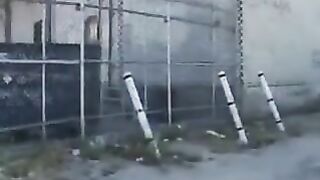 Amber Rayne,Ariel X And Carolyn Reese