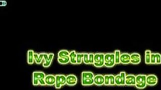 pregnant - Evolution Of A Slavegirl