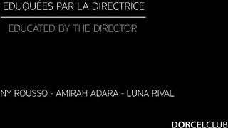 Director's education