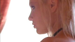 Beautiful butterflies