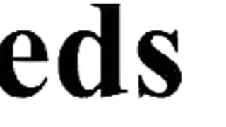 Amateur Lesbians Get to Know Each Other