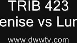 TRIB 423 Denise vs Luna