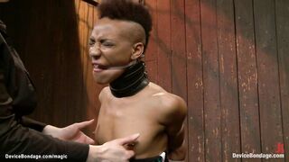 Ebony in extreme suspension caned (Nyrobi Knight, Claire Adams, Nikki Darling, Niki Dominick, Nyrobi Knights)