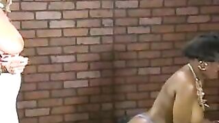 Big-Busted Cell Mates