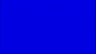 Summer V Tina catfight