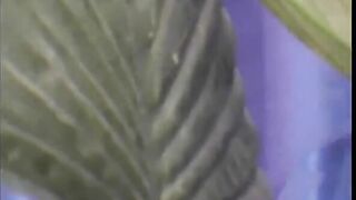 Old and young dildo play