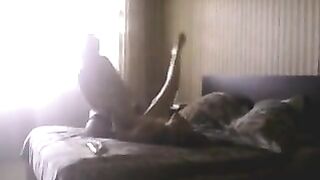 She Cheats on Husband With Another Woman