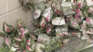 deep tongue kiss 224455