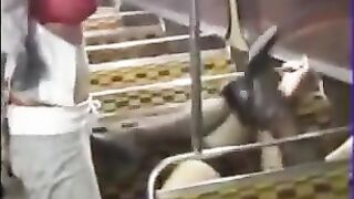Double Dike Dutch Busty Bus Biatchz Naughty Naustie Nuket...