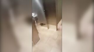 lesbian public restroom