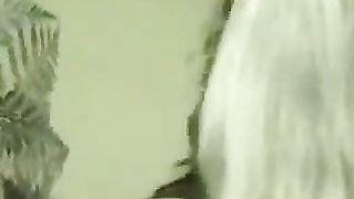 Precious Pink vs Nina Alexander