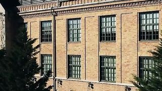 Naughty affairs at the Russian Institute