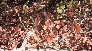 Skinny brunette is moaning from pleasure while having sex on the beach, with a handsome guy