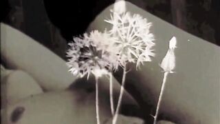 My Secret Life, Vintage Lesbians