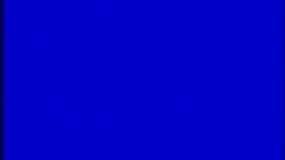 Bimbos Strip Catfight