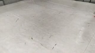 Nirvana Vs Michelle wrestling catfight