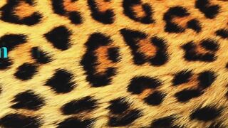 Slim, lesbian brunette got tied up and forced to cum with a vibrator, the other day