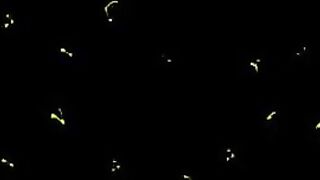 Brother's Sister Seduces New Girlfriend Into Choosing Pussy Over Dick