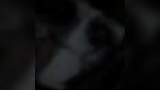 Alex D Pferd und Reiter Hard Bizzare BDSM latex sex