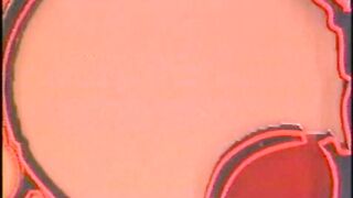 Big Tit Hookers - Vintage Boobs