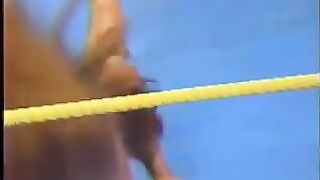 Retro Wrestling Beat Down