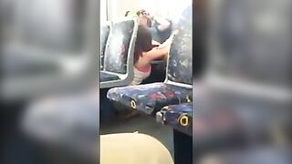 Lesso Public Fun
