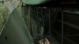 Grannies Have Lesbian Sex In A Horse Barn