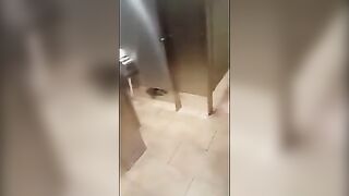 Teen Lesbians in Public Bathroom
