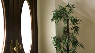 WebYoung - Sierra Nevadah, Veronica Rodriguez