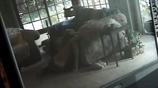 Young lesbian beauties carpet munching