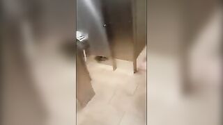 lesbian public restroom