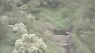 The Sex Files Alien Erotica