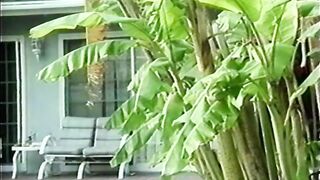Nikki Wilds, Primary Suspect (USA 1993, Nikki Dial, Tiffany Mynx) - Nikki Sexx