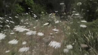 The pissing paradise