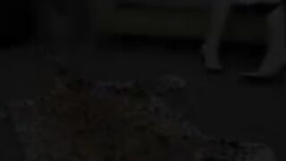 German Lesbians anal fisting