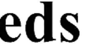 Sexy Babes Explore Each Other