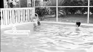 1969 - The Layout (720) (AI UPSCALED) SEXPLOITATION