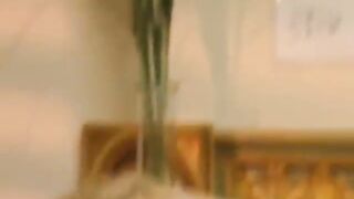 Tutto in famiglia (Amateur Sex, Amateur Sex)