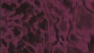 Wet Dream 5 - Sexercise (Nina Hartley)