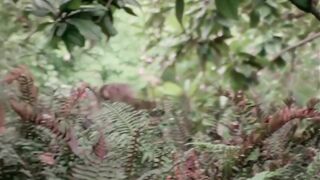 1977 - Kinky Tricks (1080) (AI UPSCALED) (Blair Harris, Candida Royalle, Helen Madigan, Beth Anna)