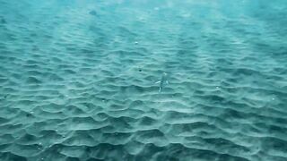 Enjoy a redhead underwater and lesbians