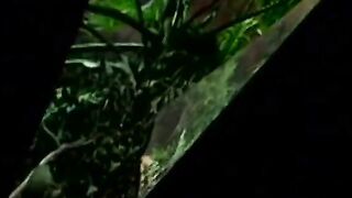 Exciting Sex With Two Busty Lesbians! (The unforgettable Porn Emotions in HD restyling version)