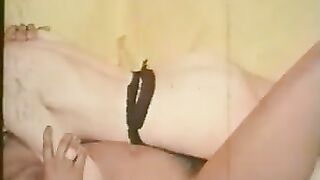 Vintage Lesbian Collection Lesbian Scene