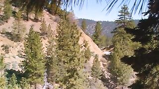 The house on hooter hill