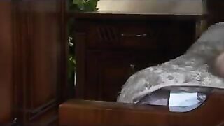 charming Nimfa-Viola