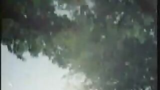 C-C Vintage Bird Spotting
