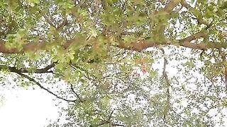 Wait, Are You Sure It's Ok?